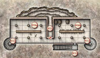Wizard of Wines cellar.png608