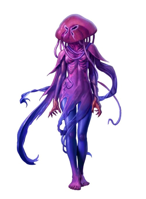 Cnidaran2.png