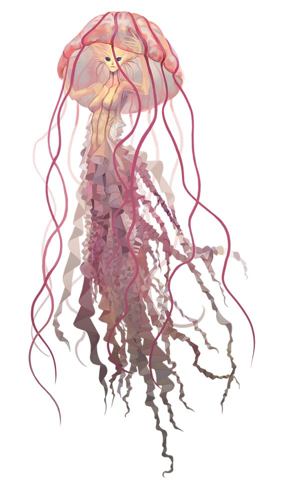 Cnidaran3.png503x862