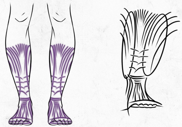 travelers_tattoo.png
